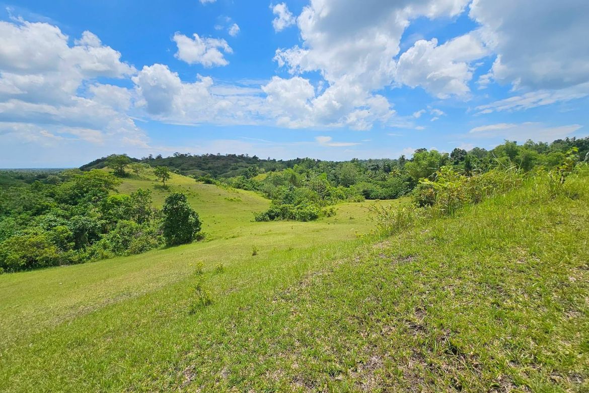 Land for Sale in Poblacion, Buenavista, Bohol