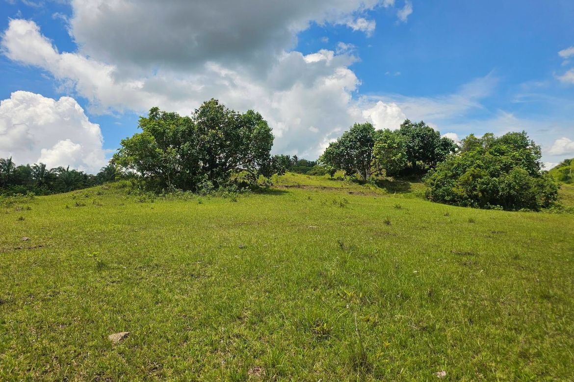 Land for Sale in Poblacion, Buenavista, Bohol – photo 3