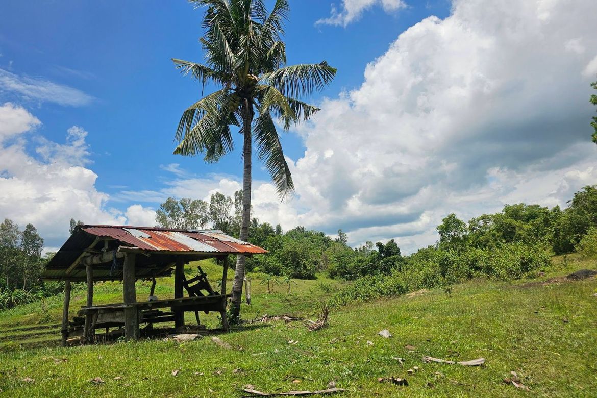 Land for Sale in Poblacion, Buenavista, Bohol – photo 4