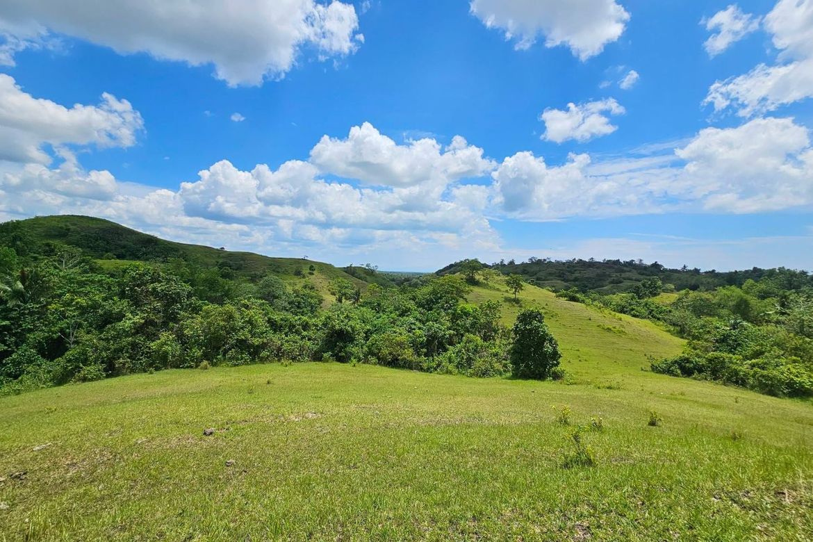 Land for Sale in Poblacion, Buenavista, Bohol – photo 8