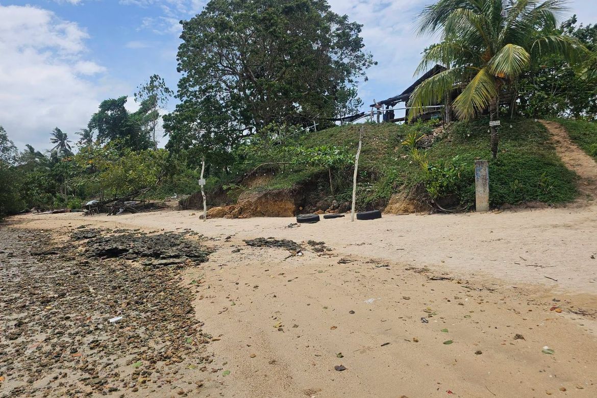 Land for Sale in Poblacion, Buenavista, Bohol