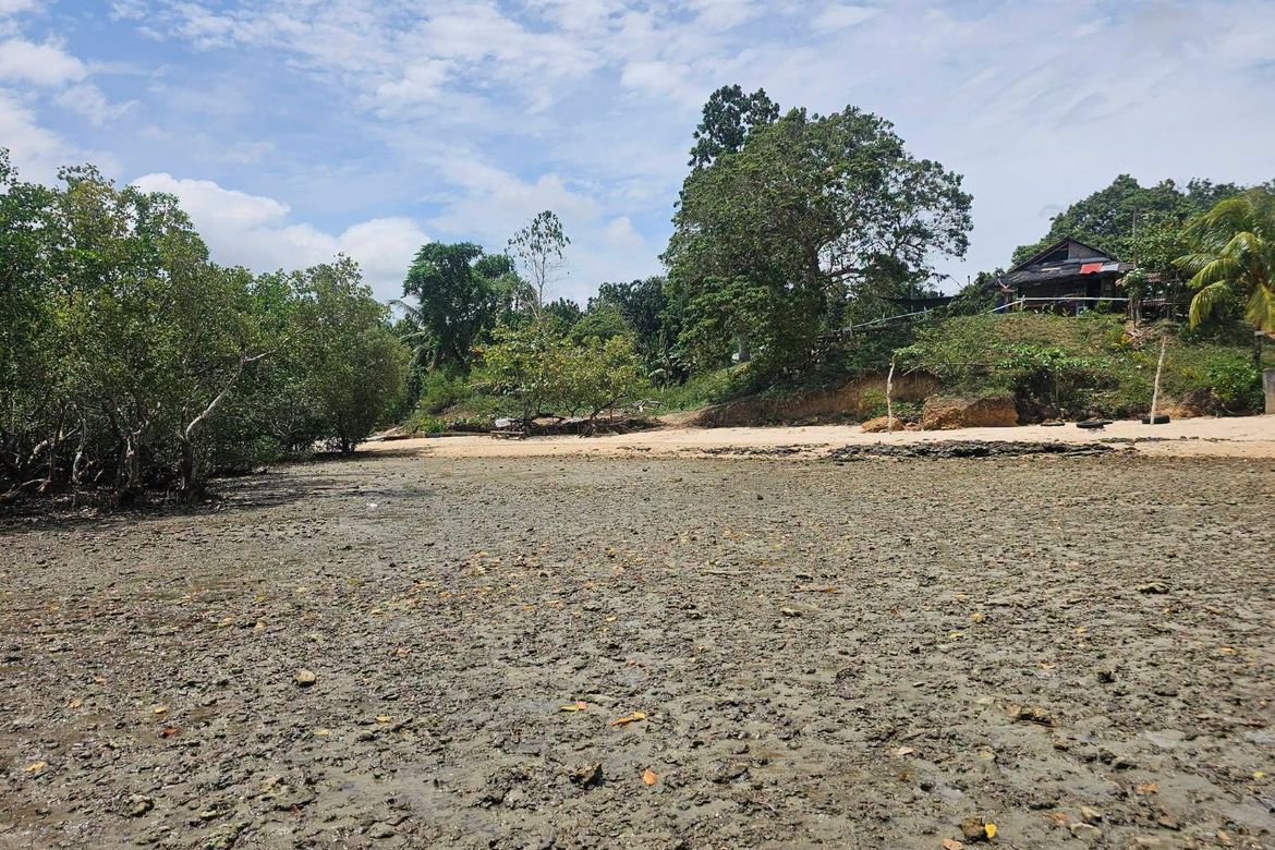Land for Sale in Poblacion, Buenavista, Bohol – photo 3