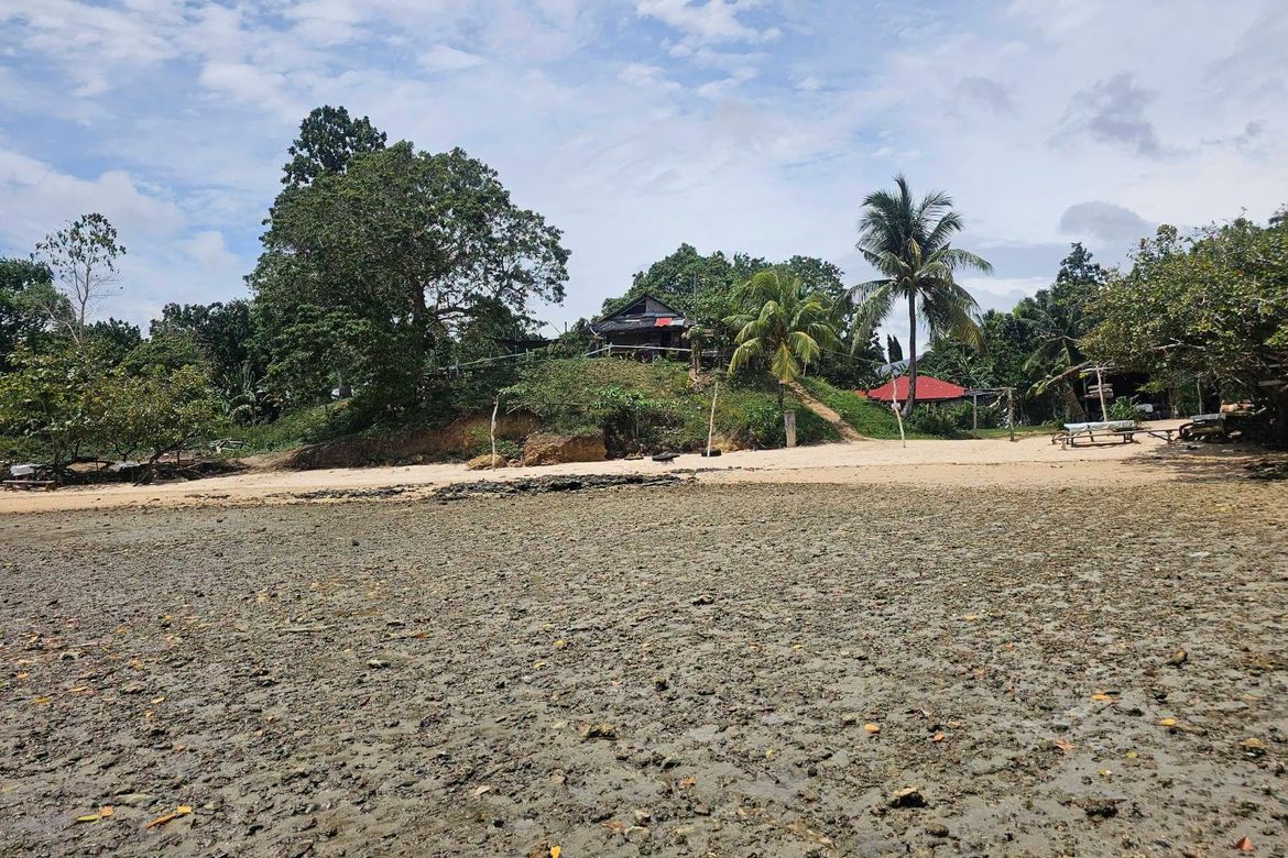Land for Sale in Poblacion, Buenavista, Bohol – photo 5