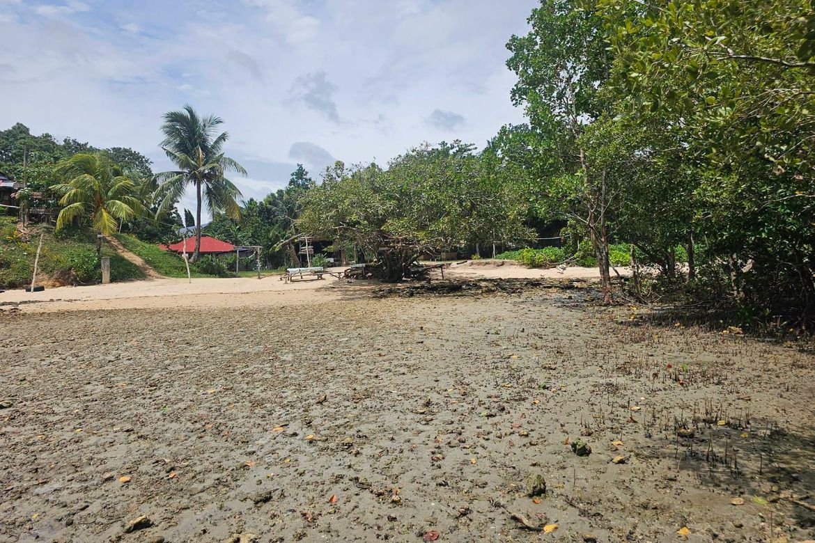 Land for Sale in Poblacion, Buenavista, Bohol – photo 6