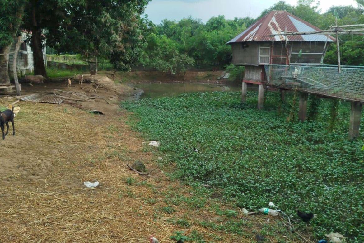 Land for Sale in Poblacion, Bustos, Bulacan – photo 2