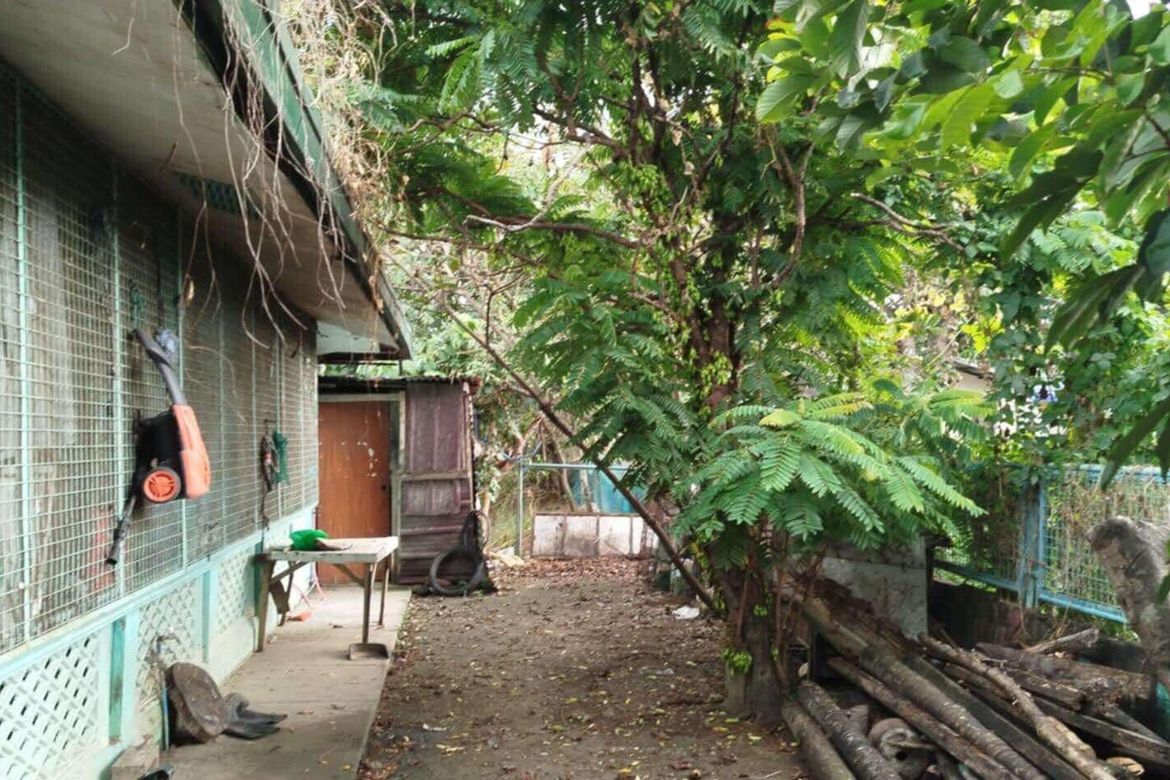 Land for Sale in Poblacion, Bustos, Bulacan – photo 3