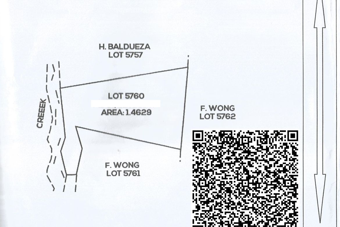 Land for Sale in Poblacion, Carmen, Agusan del Norte – photo 4