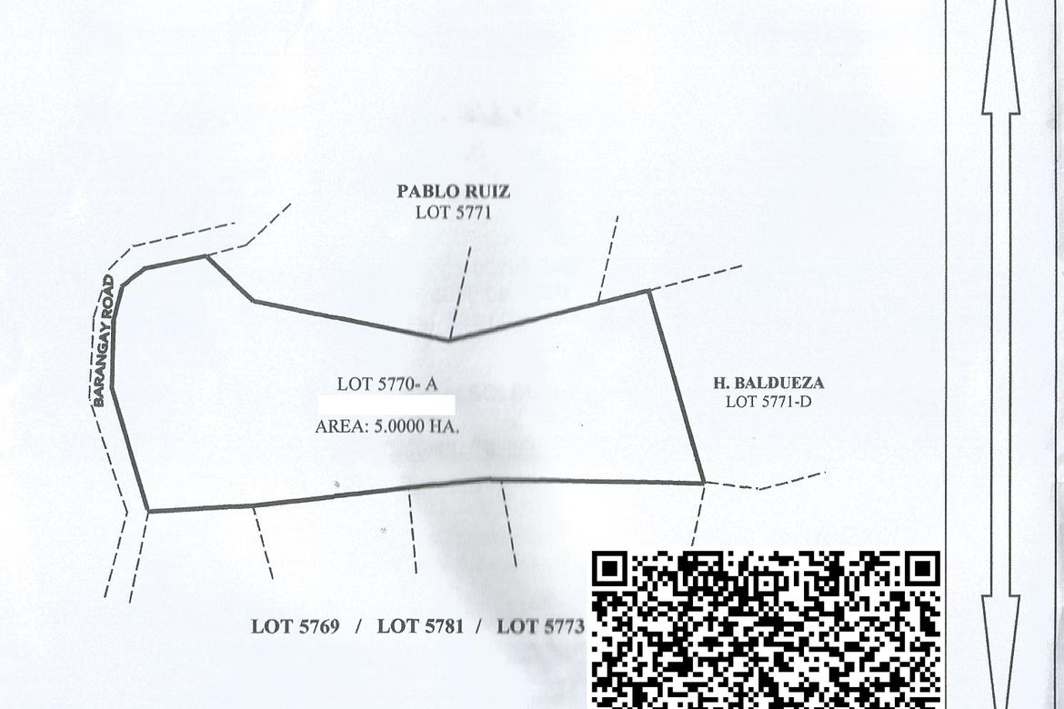 Land for Sale in Poblacion, Carmen, Agusan del Norte – photo 6
