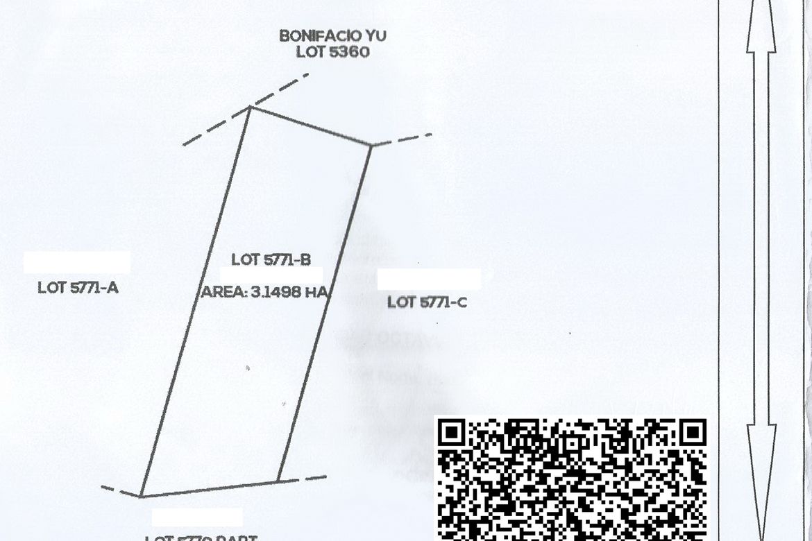 Land for Sale in Poblacion, Carmen, Agusan del Norte – photo 8