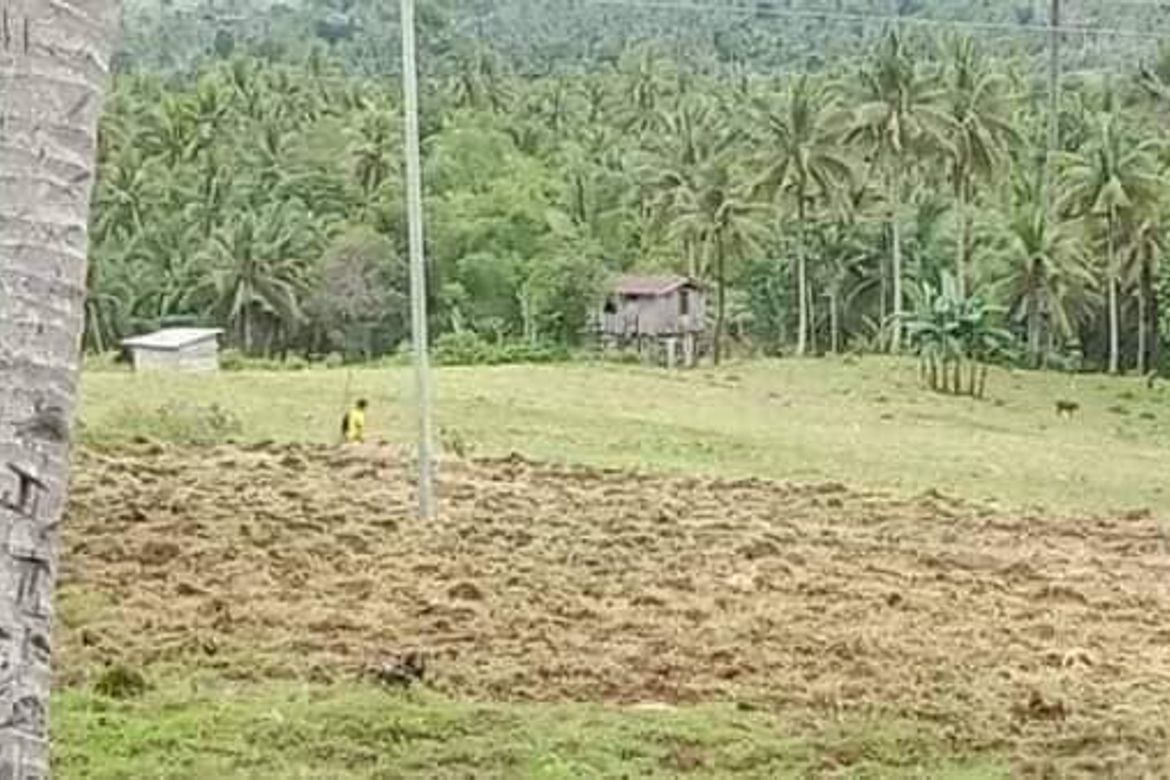 Land for Sale in Poblacion Central, Dumanjug, Cebu