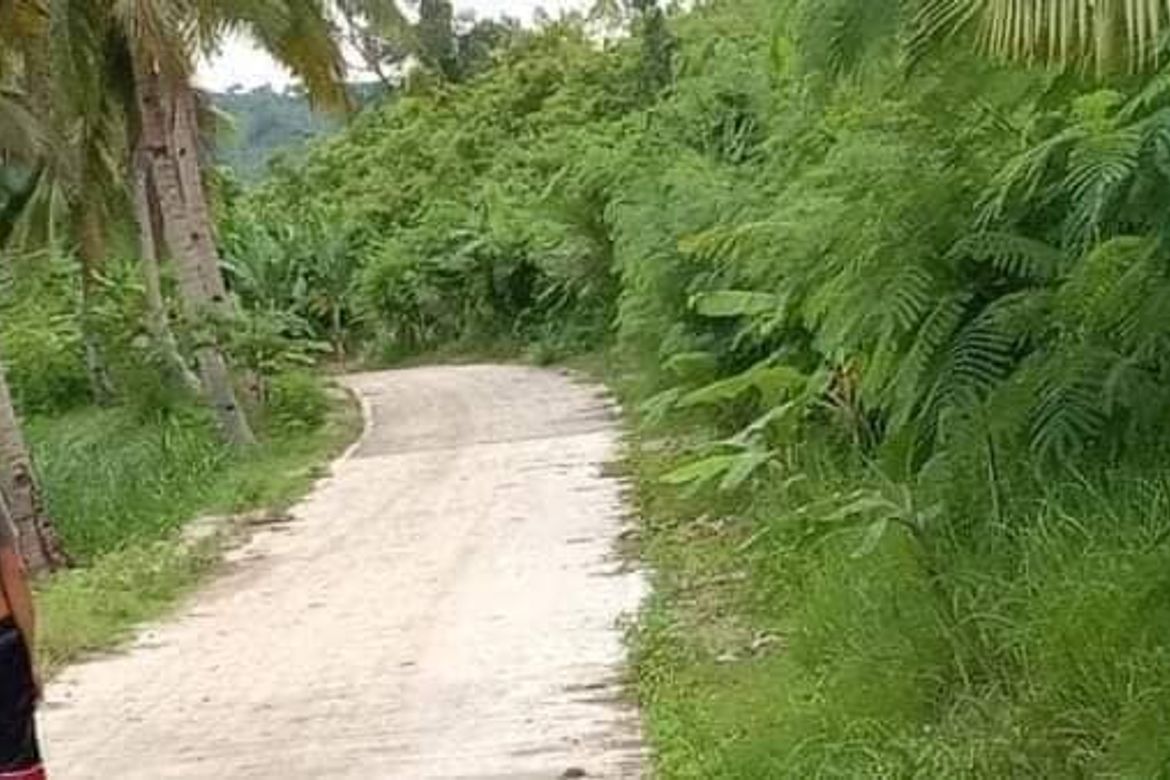 Land for Sale in Poblacion Central, Dumanjug, Cebu – photo 6