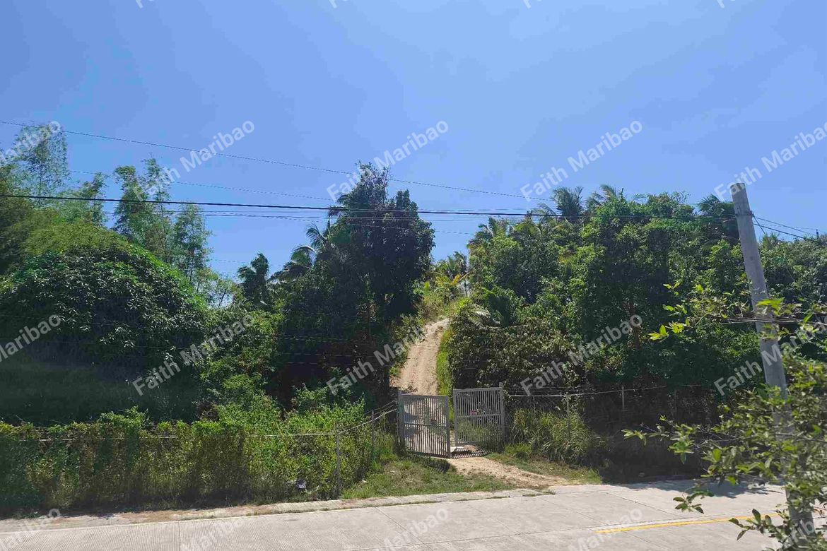 Land for Sale in Poblacion Central, Dumanjug, Cebu – photo 2