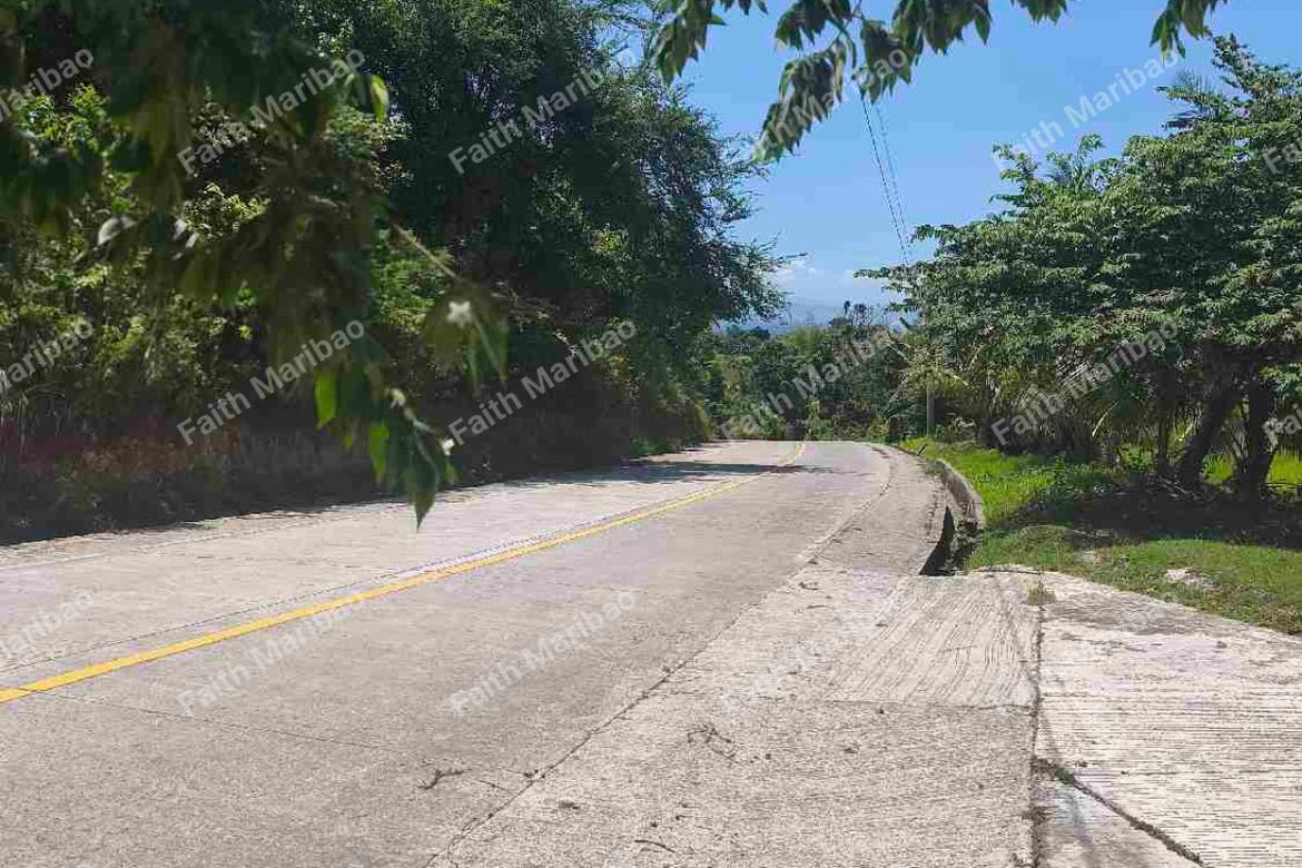 Land for Sale in Poblacion Central, Dumanjug, Cebu – photo 3