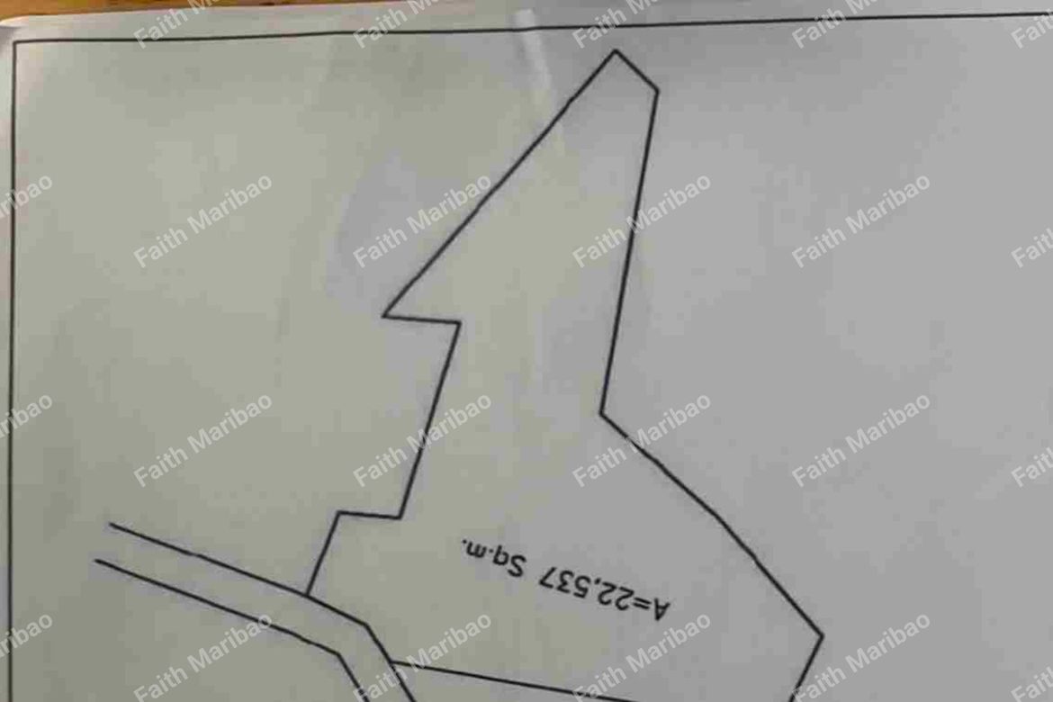 Land for Sale in Poblacion Central, Dumanjug, Cebu – photo 5