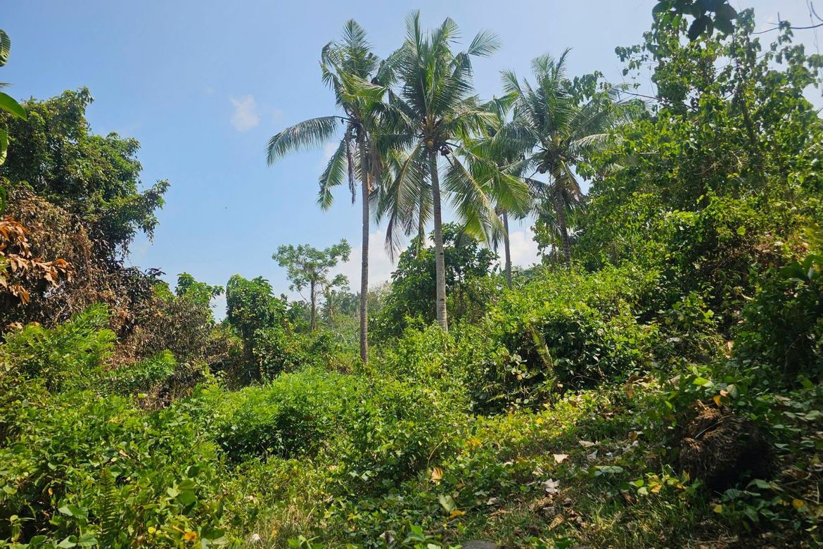 Land for Sale in Poblacion Centro, Clarin, Bohol – photo 7