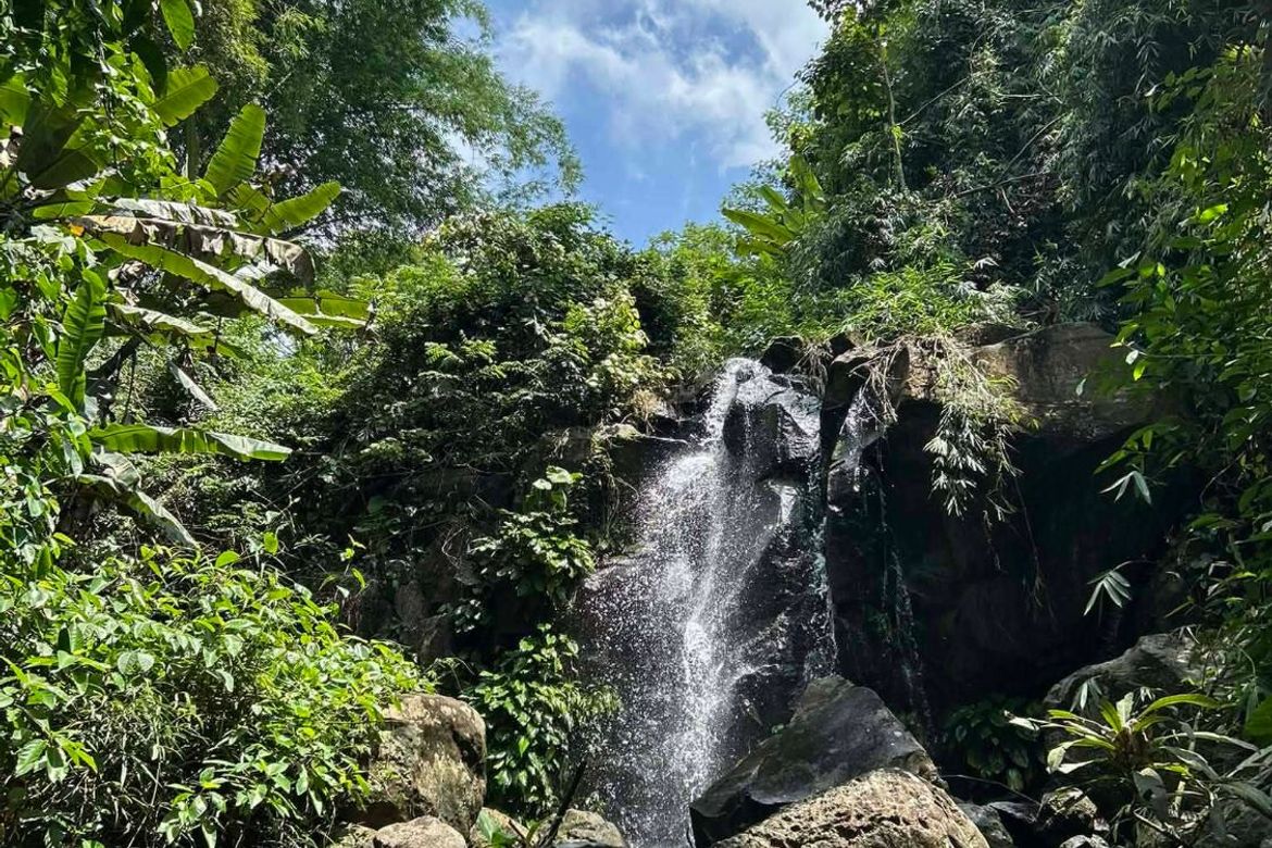 Land for Sale in Poblacion, Claveria, Misamis Oriental