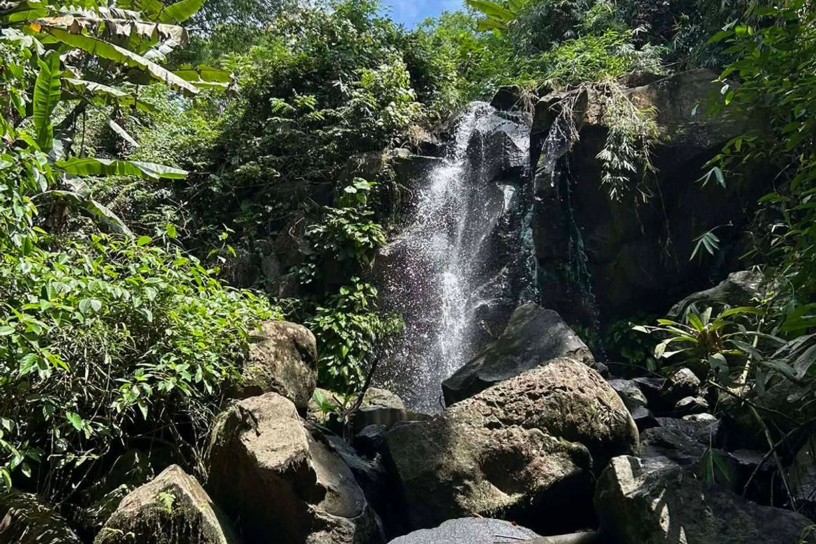 Land for Sale in Poblacion, Claveria, Misamis Oriental – photo 7