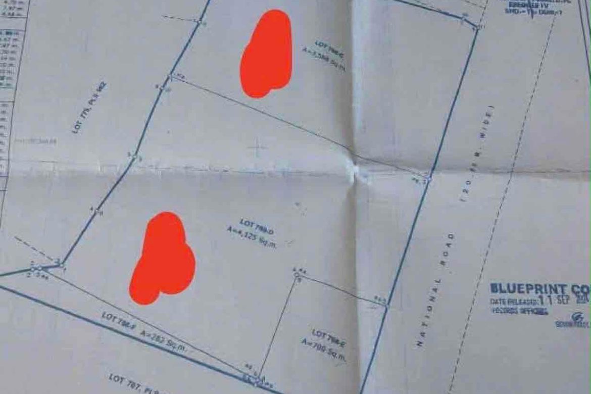 Land for Sale in Poblacion, Compostela, Cebu – photo 2