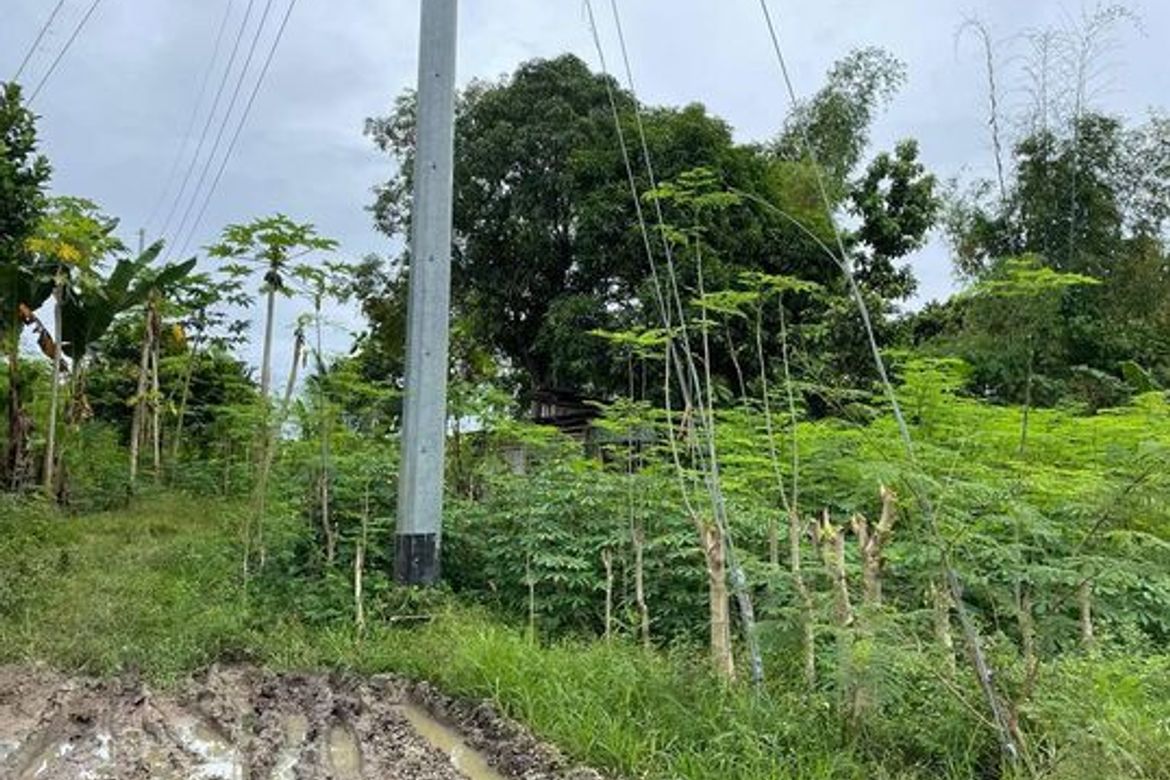 Land for Sale in Poblacion, Compostela, Cebu – photo 4