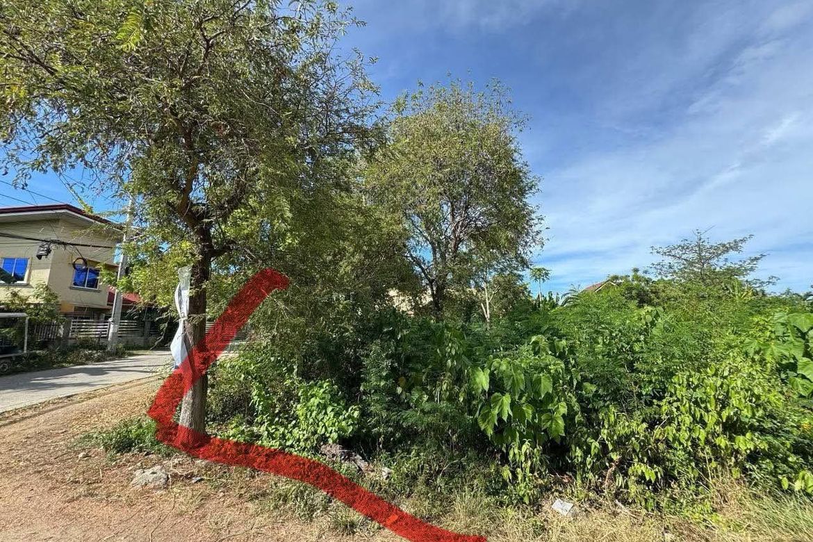 Land for Sale in Poblacion, Cordoba, Cebu – photo 2
