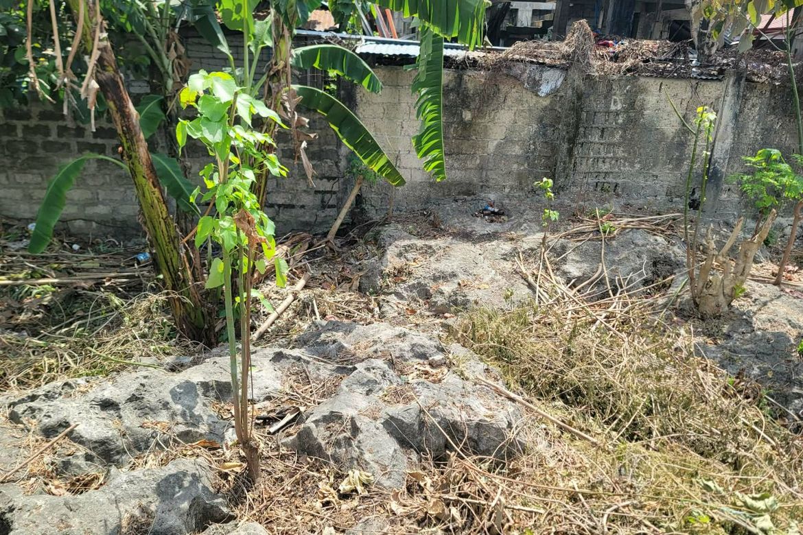 Land for Sale in Poblacion, Cordoba, Cebu – photo 3