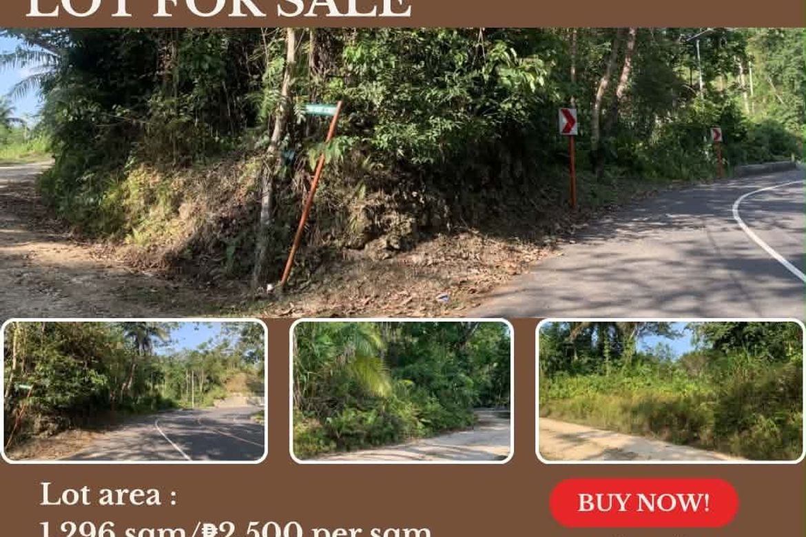 Land for Sale in Poblacion, Corella, Bohol