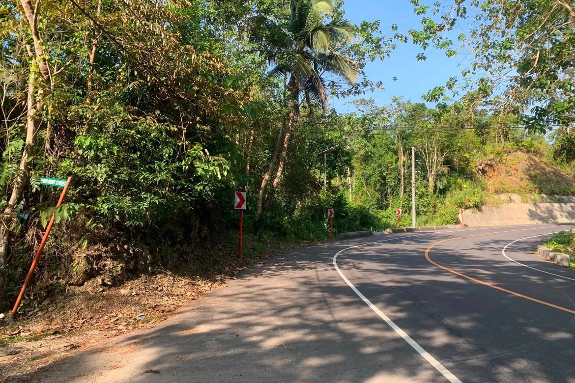 Land for Sale in Poblacion, Corella, Bohol – photo 8