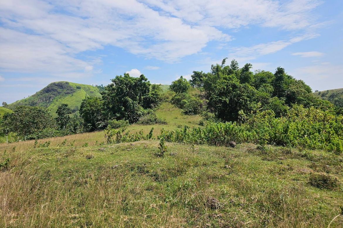 Land for Sale in Poblacion, Dagohoy, Bohol – photo 3