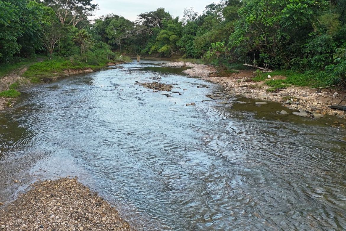 Land for Sale in Poblacion, Dagohoy, Bohol