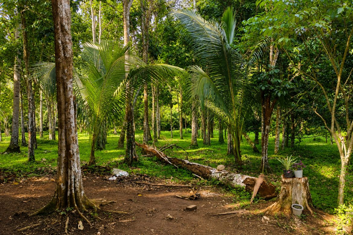 Land for Sale in Poblacion Dos, Bansalan, Davao del Sur – photo 4