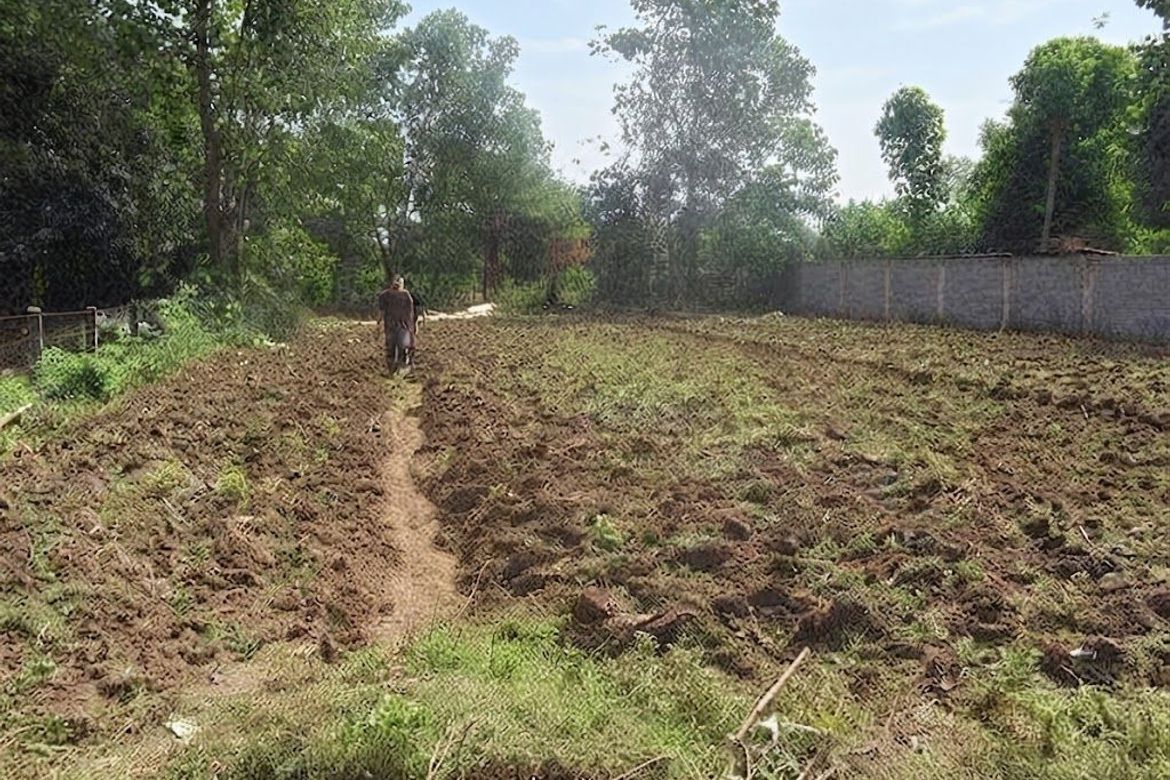 Land for Sale in Poblacion East, Alcala, Pangasinan