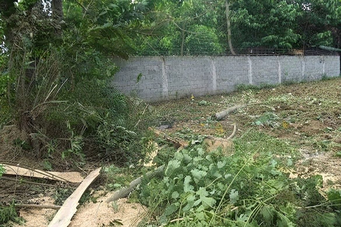 Land for Sale in Poblacion East, Alcala, Pangasinan – photo 2