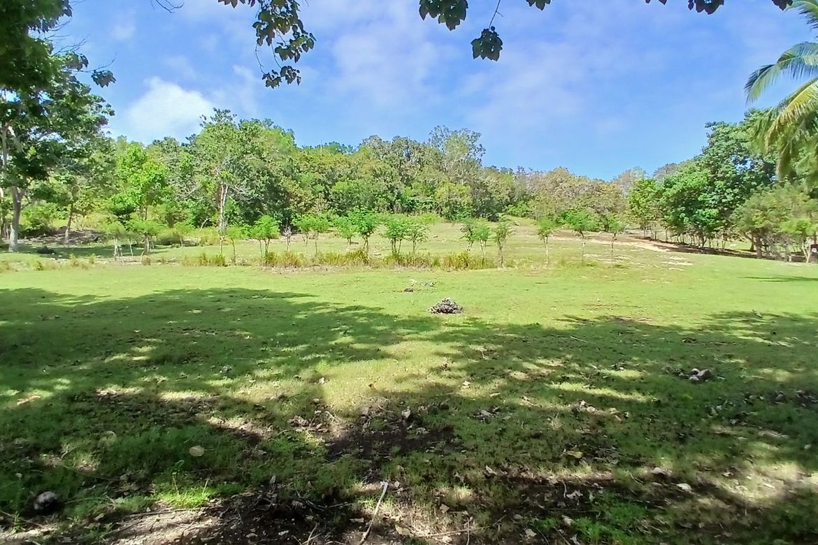 Land for Sale in Poblacion, Enrique Villanueva, Siquijor
