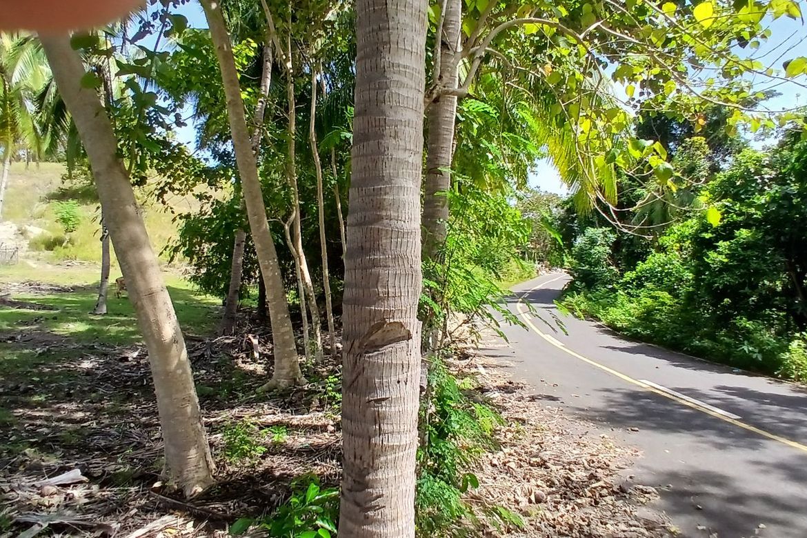 Land for Sale in Poblacion, Enrique Villanueva, Siquijor – photo 5