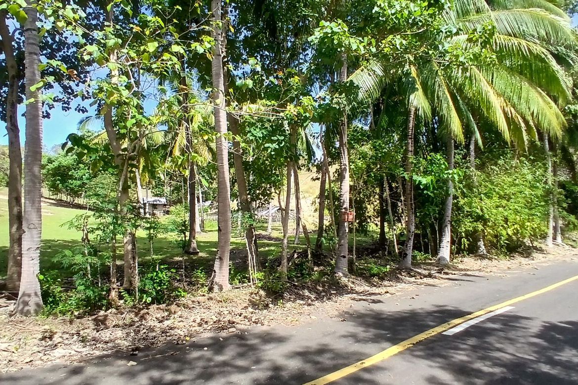Land for Sale in Poblacion, Enrique Villanueva, Siquijor – photo 7