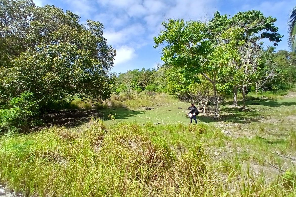 Land for Sale in Poblacion, Enrique Villanueva, Siquijor – photo 8