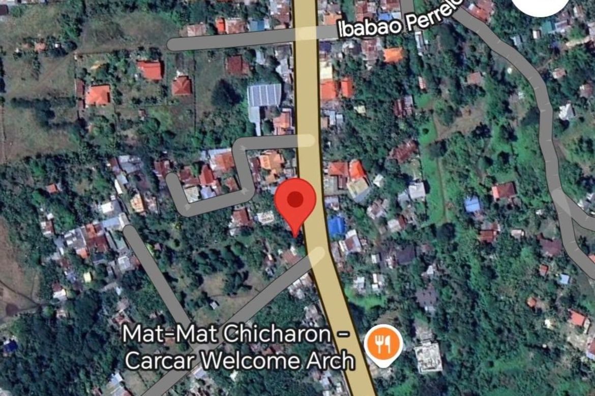 Land for Sale in Poblacion I, Carcar, Cebu – photo 4