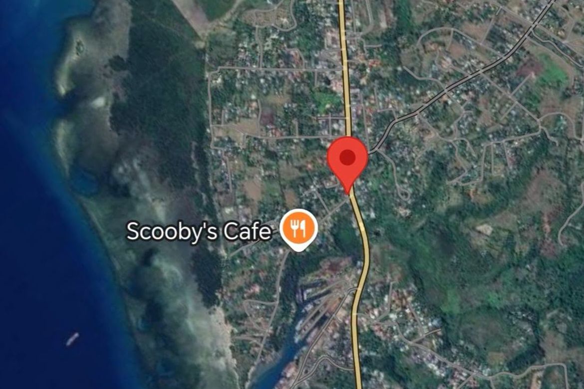 Land for Sale in Poblacion I, Carcar, Cebu – photo 5