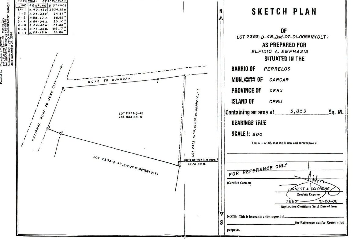 Land for Sale in Poblacion I, Carcar, Cebu – photo 8