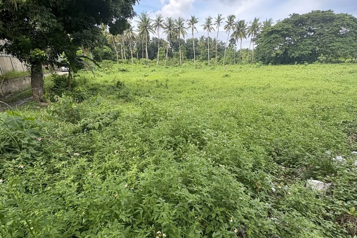 Land for Sale in Poblacion I, Carcar, Cebu – photo 8