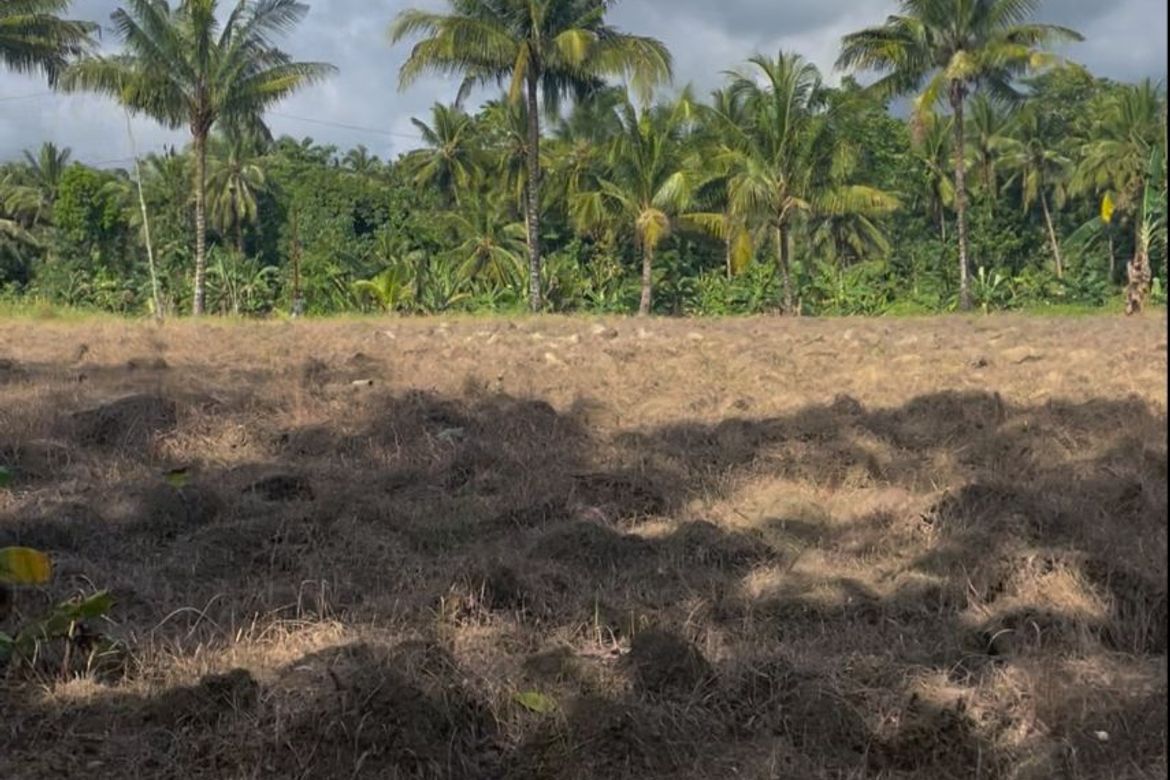 Land for Sale in Poblacion I, Carcar, Cebu