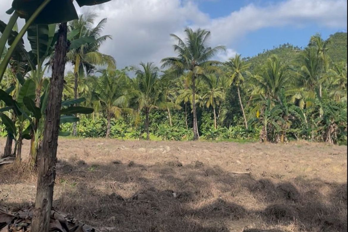 Land for Sale in Poblacion I, Carcar, Cebu – photo 4
