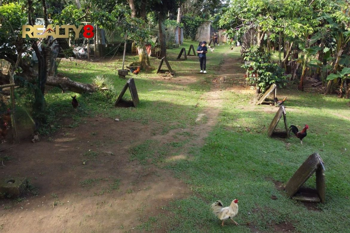 Land for Sale in Poblacion I, Mendez, Cavite – photo 2
