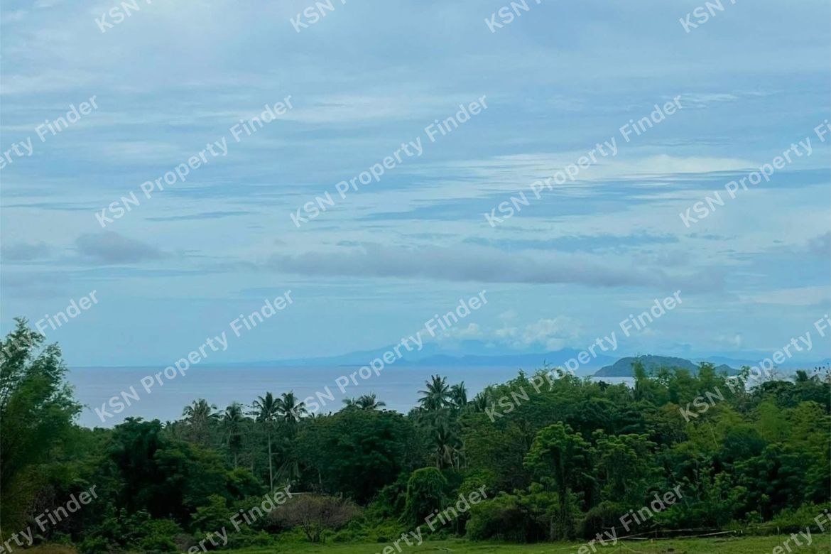Land for Sale in Poblacion II, Dauin, Negros Oriental