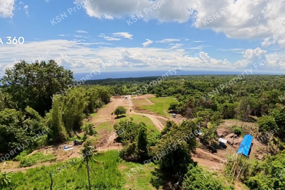Land for Sale in Poblacion II, Dauin, Negros Oriental – photo 2