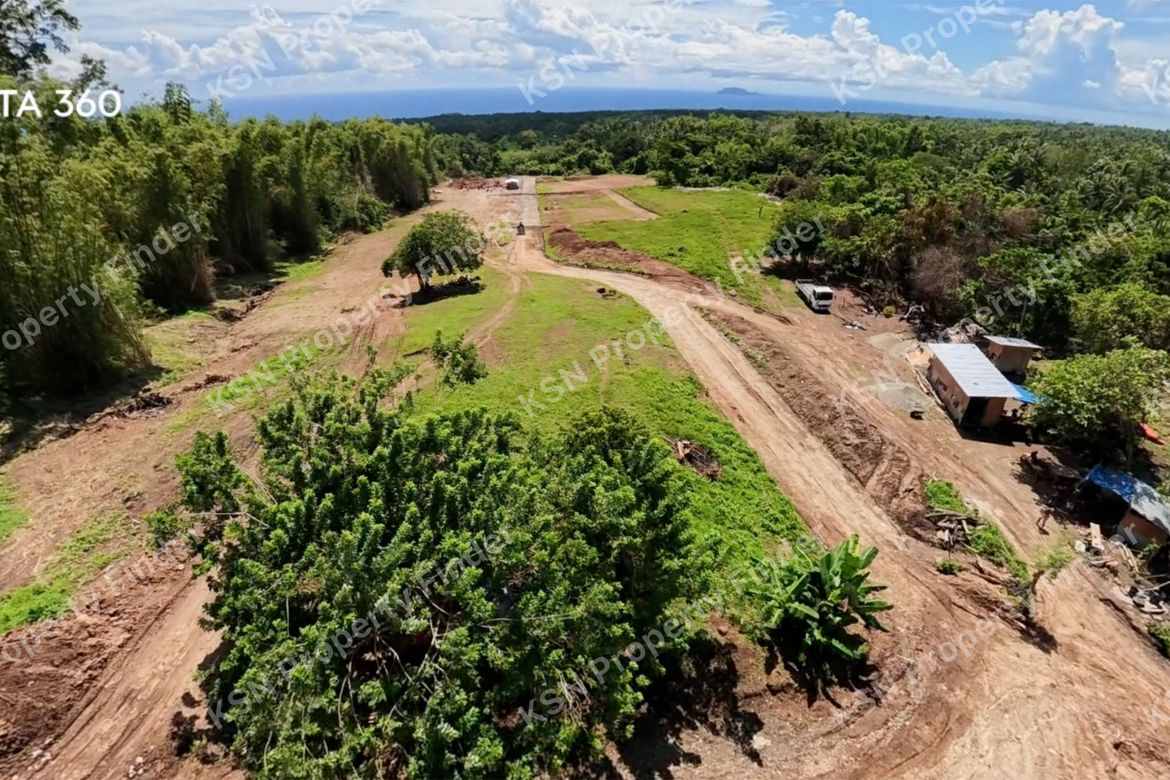 Land for Sale in Poblacion II, Dauin, Negros Oriental – photo 4