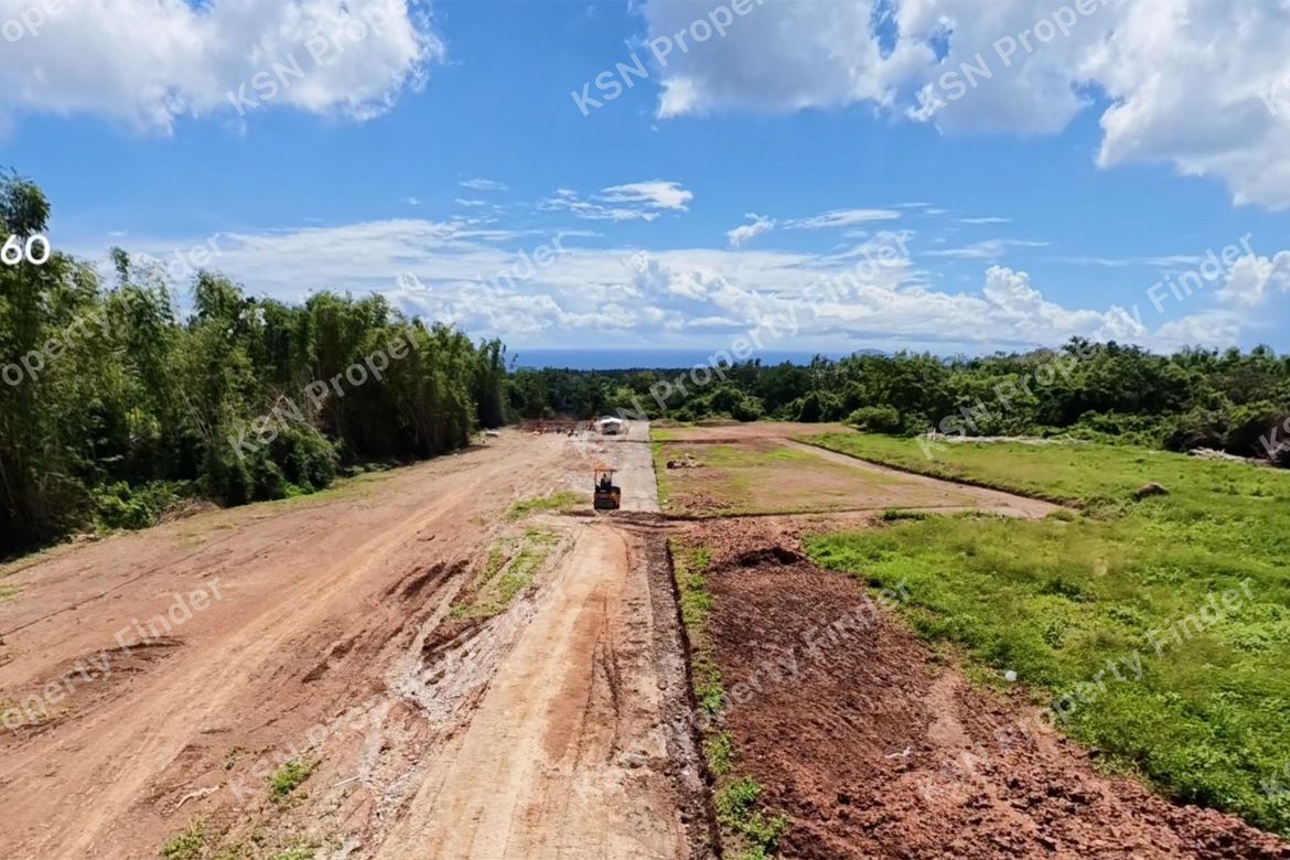 Land for Sale in Poblacion II, Dauin, Negros Oriental – photo 6
