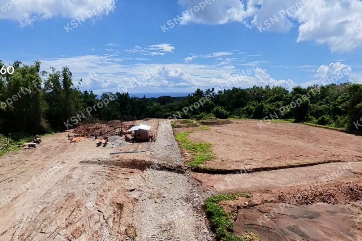 Land for Sale in Poblacion II, Dauin, Negros Oriental – photo 7