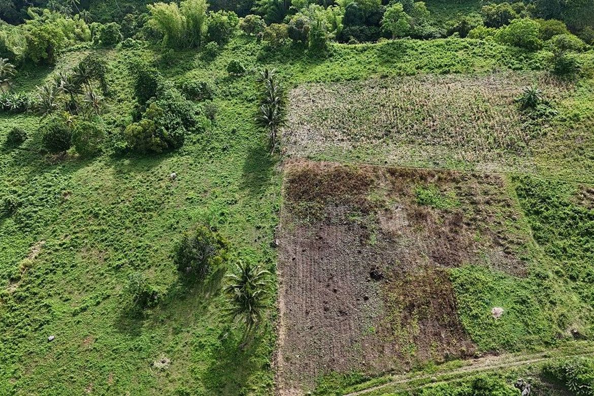 Land for Sale in Poblacion II, Dauin, Negros Oriental – photo 3