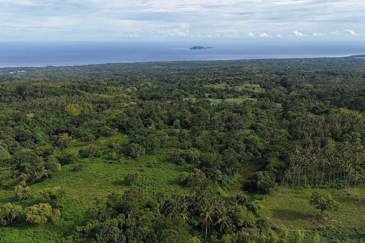 Land for Sale in Poblacion II, Dauin, Negros Oriental – photo 6